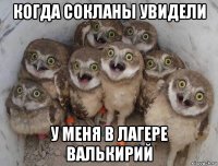 когда сокланы увидели у меня в лагере валькирий