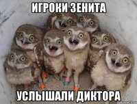 игроки зенита услышали диктора