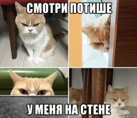 смотри потише у меня на стене