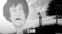  скм