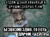 отдам щенка кавказца в хорошие добрые руки. безвозмездно. то есть даром.