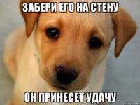 забери его на стену он принесет удачу