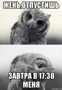 жень,отпустишь завтра в 17:30 меня