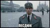  песдюк