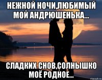 нежной ночи,любимый мой андрюшенька... сладких снов,солнышко моё родное...