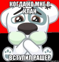 когда ко мне в клан вступил рашер