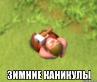 зимние каникулы