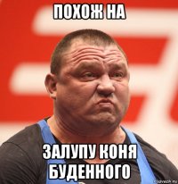 похож на залупу коня буденного