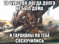 то чувство, когда долго не был дома и тараканы по тебе соскучились