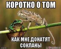 коротко о том как мне донатят сокланы
