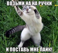 возьми на на ручки и поставь мне лайк!