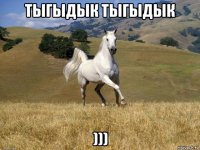 тыгыдык тыгыдык )))