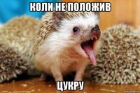 коли не положив цукру