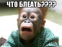 что блеать???? 