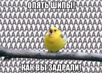 опять шипы! как вы задрали!