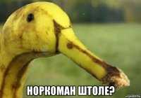  норкоман штоле?