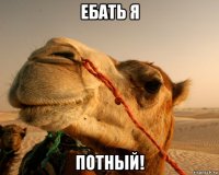 ебать я потный!