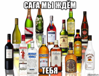 сага мы ждём тебя