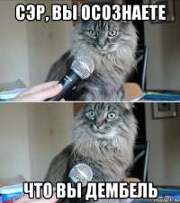 сэр, вы осознаете что вы дембель