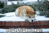  когда алёша не пишет