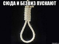 сюда и безвиз пускают 