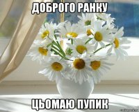 доброго ранку цьомаю пупик