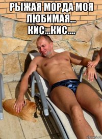 рыжая морда моя любимая... кис...кис.... 