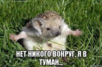  нет никого вокруг, я в туман...