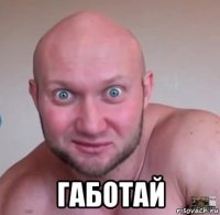  габотай