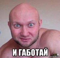  и габотай