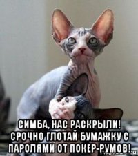  симба, нас раскрыли! срочно глотай бумажку с паролями от покер-румов!