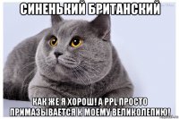 синенький британский как же я хорош! а ppl просто примазывается к моему великолепию!