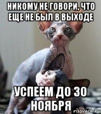 никому не говори, что еще не был в выходе успеем до 30 ноября