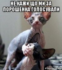 не кажи що ми за порошенка голосували 