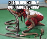 когда просишь у сокланов войска 