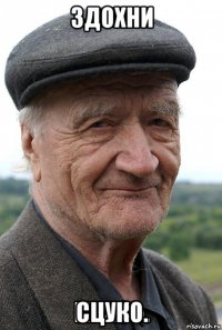  сцуко.