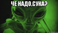 че надо,сука? 