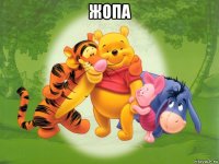 жопа 