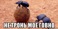  не тронь моё говно
