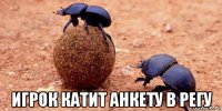  игрок катит анкету в регу