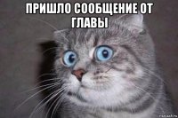 пришло сообщение от главы 
