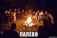  палево