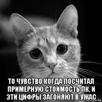  то чувство когда посчитал примерную стоимость пк, и эти цифры загоняют в ужас