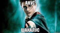 анус шакалус