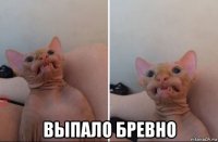  выпало бревно
