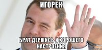 игорек брат держись и хорошего настроения