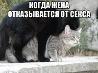 когда жена отказывается от секса 