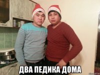 два педика дома