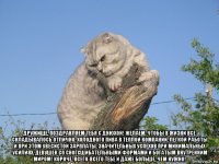  дружище, поздравляем тебя с днюхой! желаем, чтобы в жизни все складывалось отлично. холодного пива в теплой компании. легкой работы и при этом увесистой зарплаты. значительных успехов при минимальных усилиях. девушек со сногсшибательными формами и богатым внутренним миром! короче, всего-всего тебе и даже больше, чем нужно!