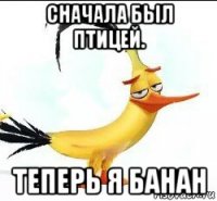 сначала был птицей. теперь я банан